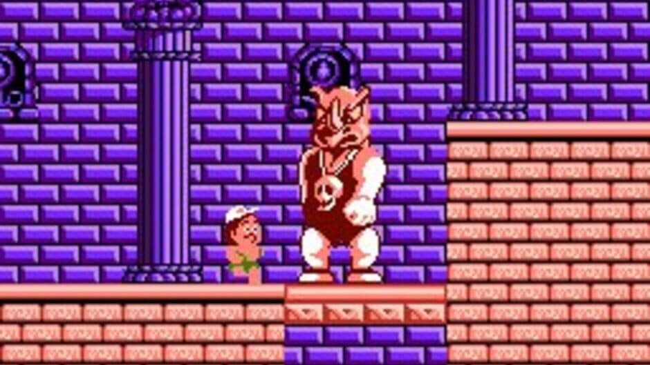 Hudson's Adventure Island screenshot