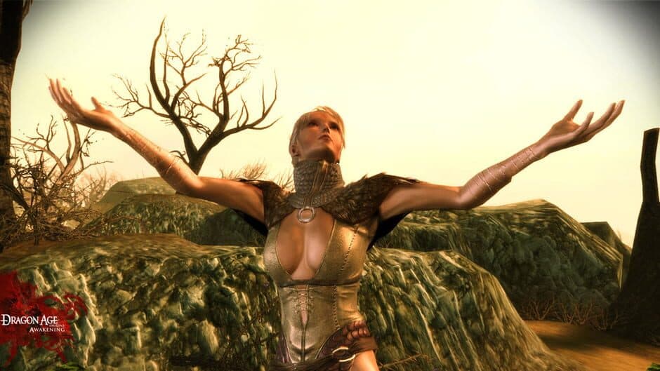 Dragon Age: Origins - Awakening screenshot