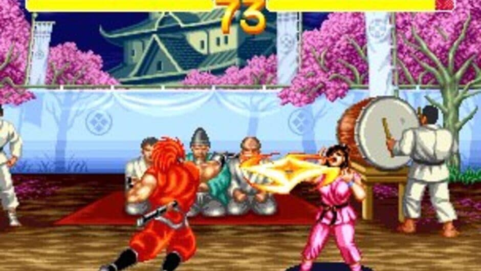 World Heroes 2 screenshot