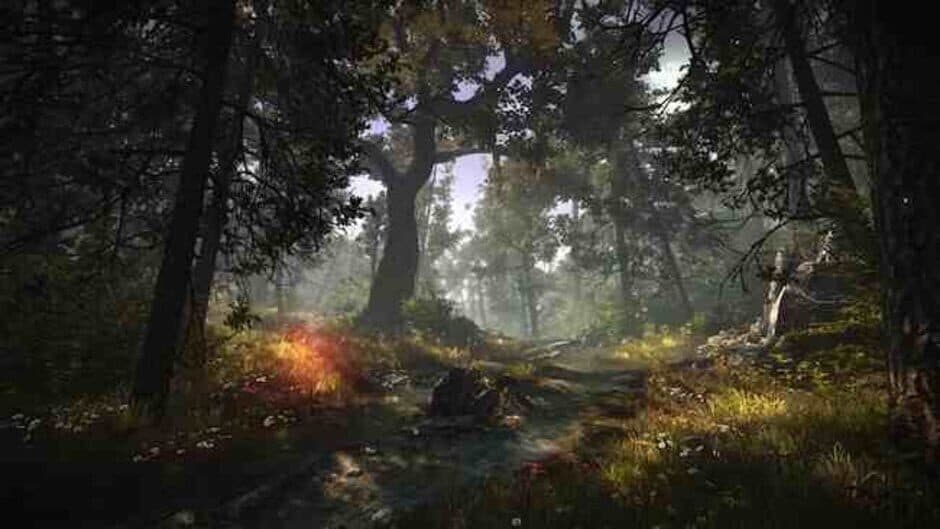 The Witcher 2: Assassins of Kings - Enhanced Edition screenshot
