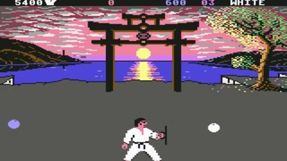 International Karate + screenshot