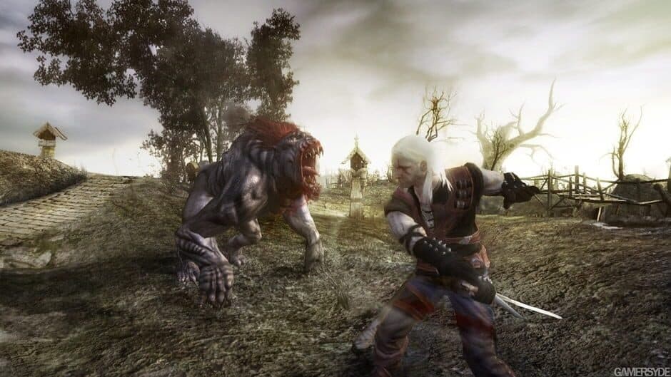 The Witcher screenshot