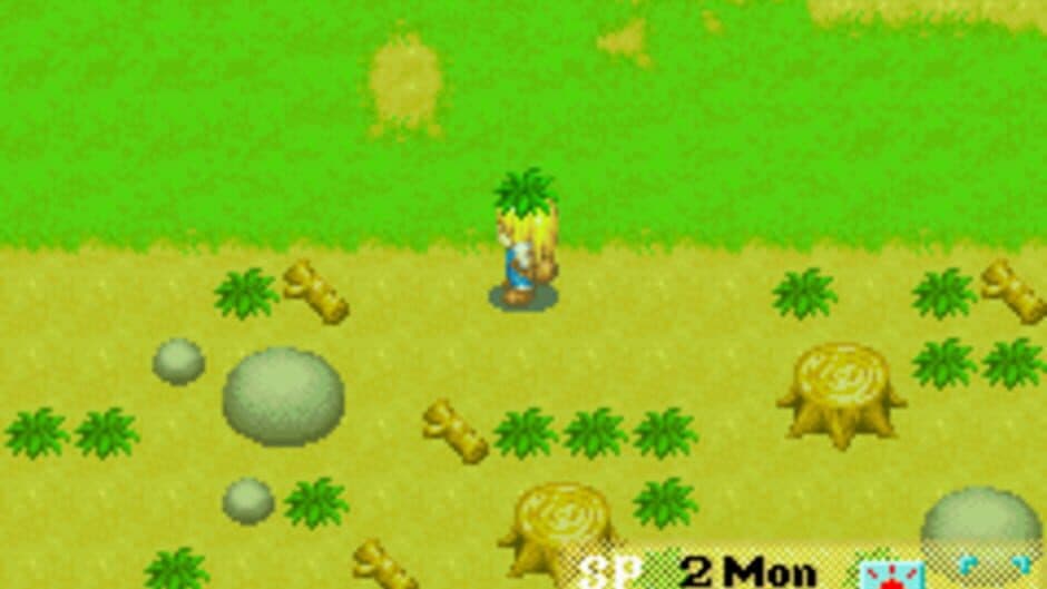 Harvest Moon: More Friends of Mineral Town screenshot