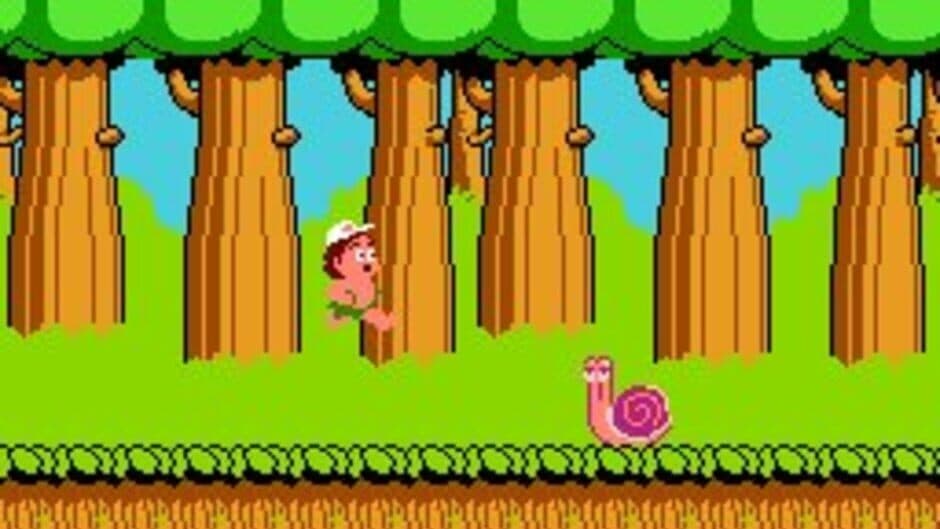 Hudson's Adventure Island screenshot