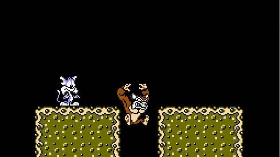 Tiny Toon Adventures screenshot