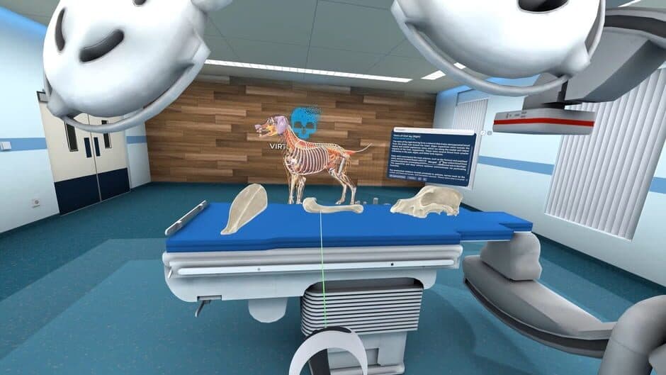 Animal Anatomy VR screenshot