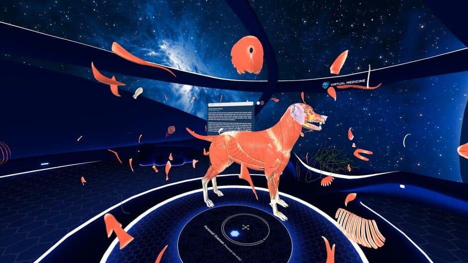 Animal Anatomy VR screenshot