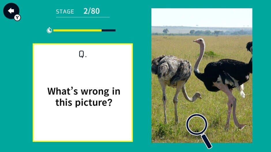 Snapshot Oddities! Find What's Wrong screenshot