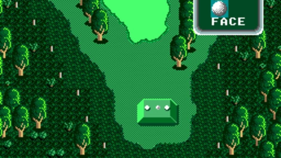 Super Albatross screenshot