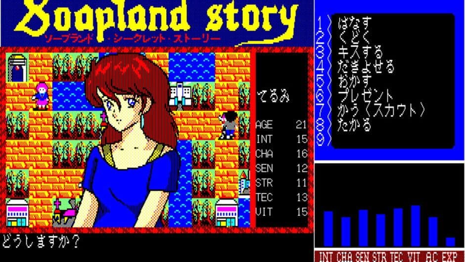 Soapland Story screenshot