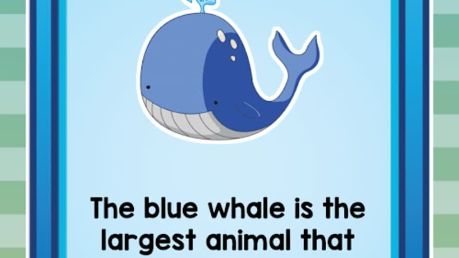 Memory: Match & Catch! screenshot