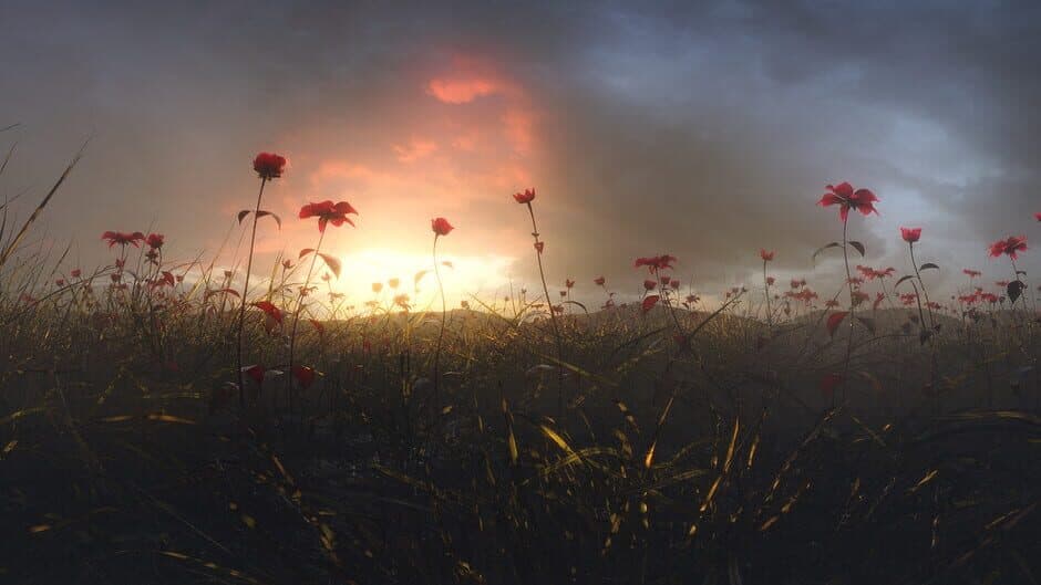 Conscious Existence - A Journey Within screenshot