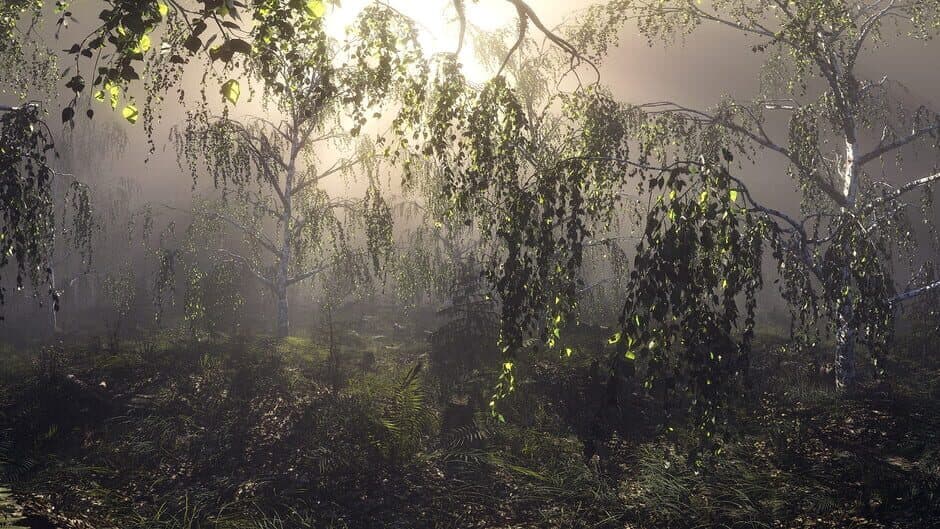 Conscious Existence - A Journey Within screenshot