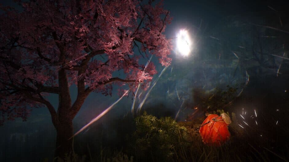 Black Desert screenshot