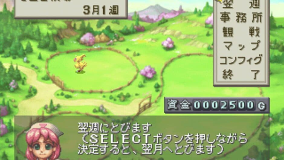 Chocobo Stallion screenshot