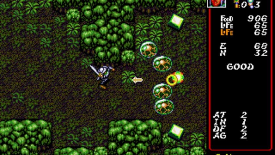 Dungeon Explorer screenshot