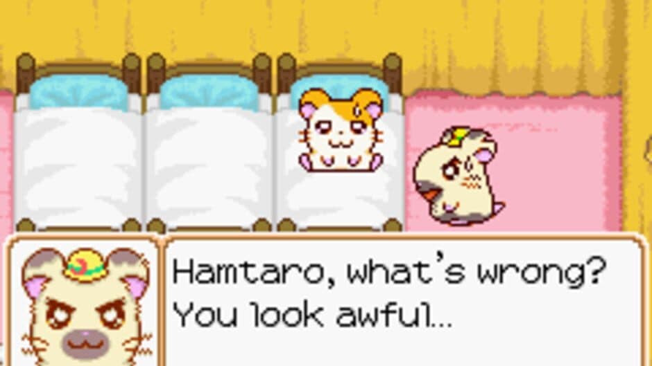 Hamtaro: Ham-Ham Heartbreak screenshot