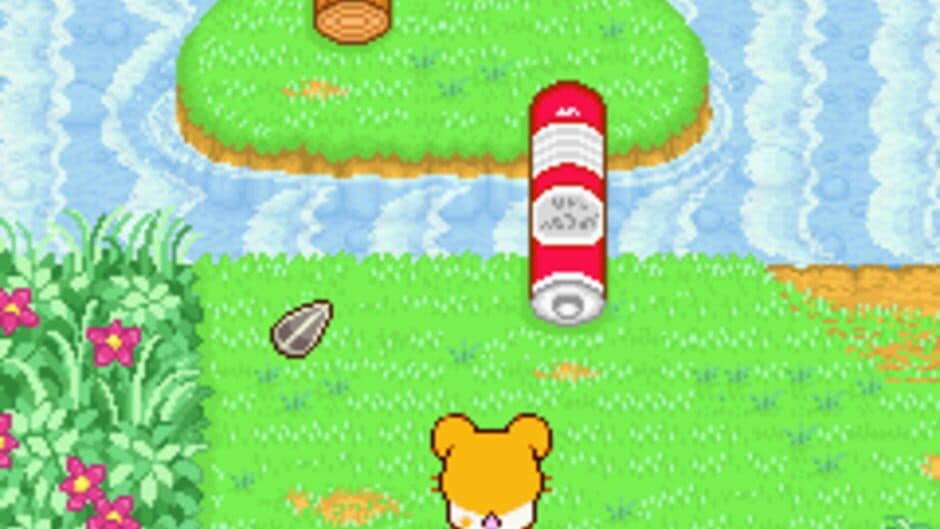 Hamtaro: Ham-Ham Heartbreak screenshot