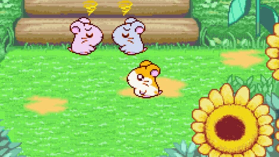 Hamtaro: Ham-Ham Heartbreak screenshot