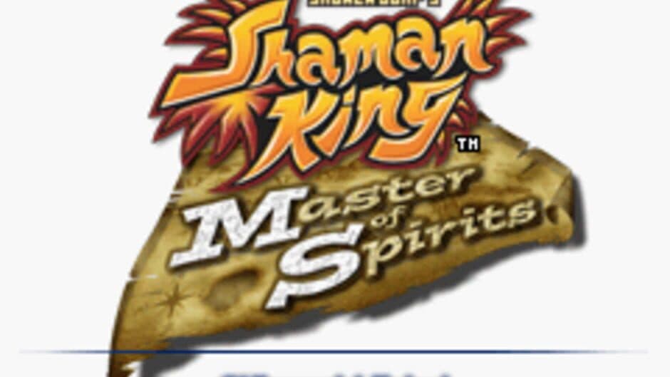 Shaman King: Master of Spirits screenshot