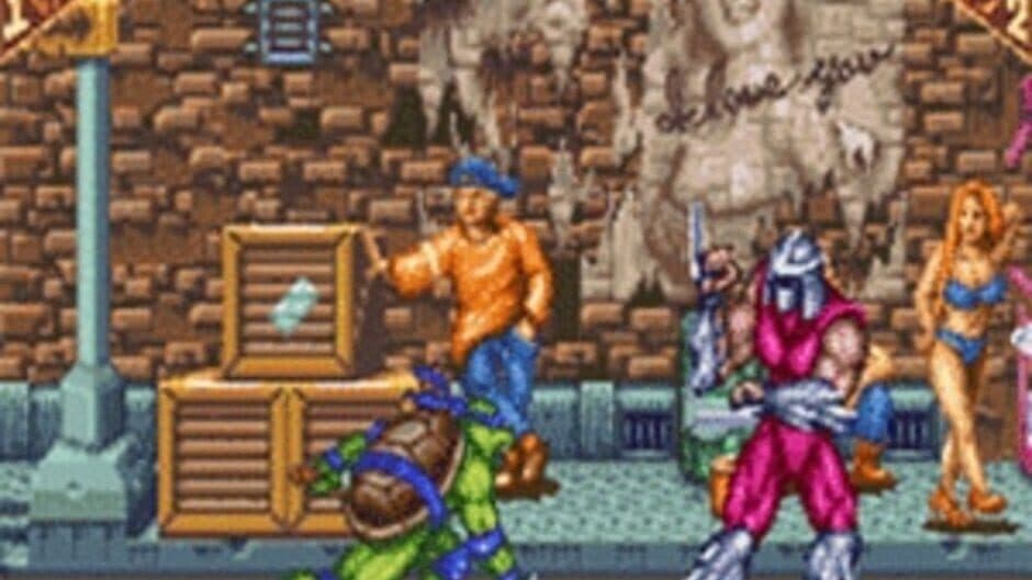 Teenage Mutant Ninja Turtles: Tournament Fighters screenshot