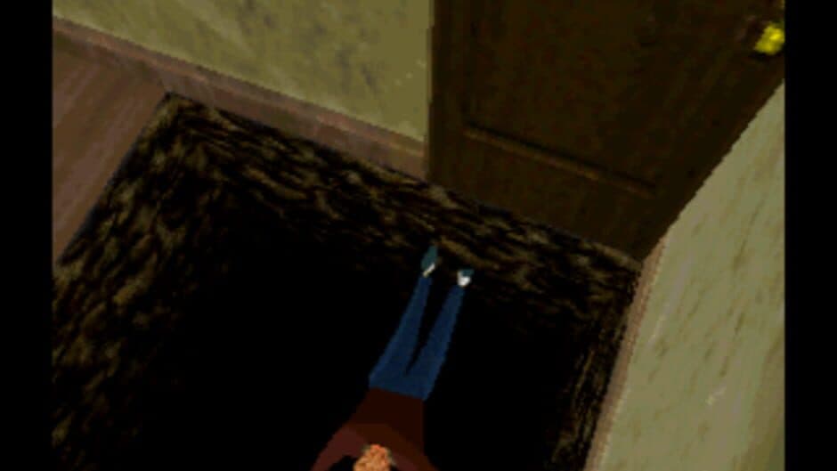 Doctor Hauzer screenshot