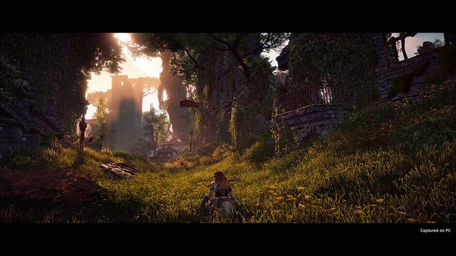 Horizon Zero Dawn: Complete Edition screenshot