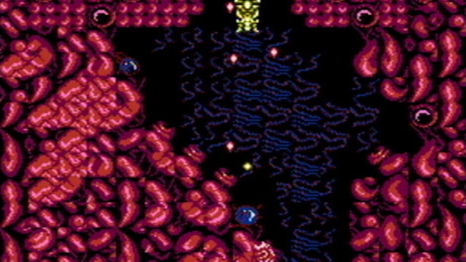 Abadox: The Deadly Inner War screenshot