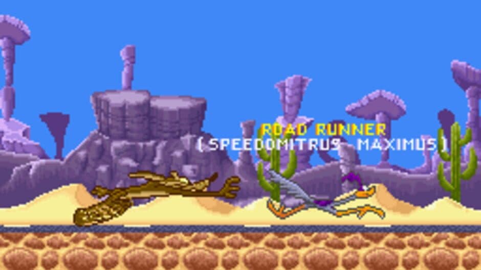 Road Runner's Death Valley Rally screenshot