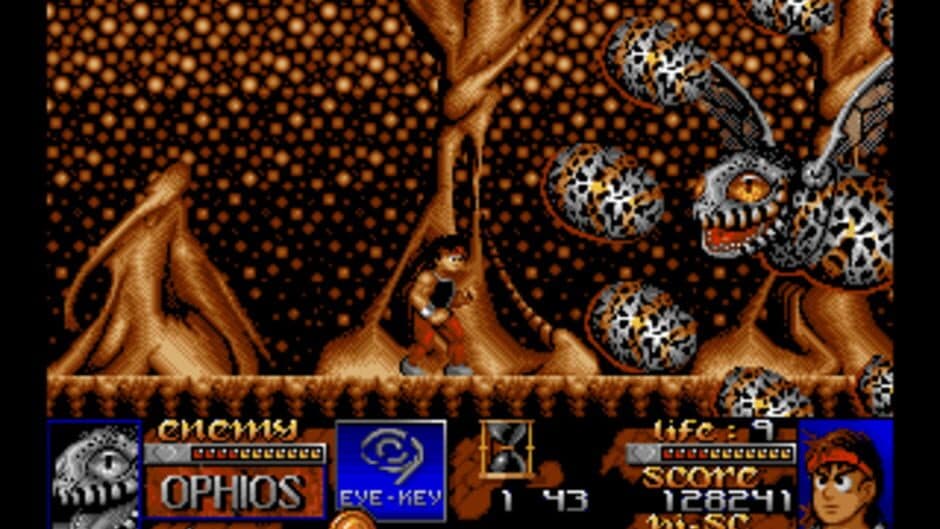 Risky Woods screenshot