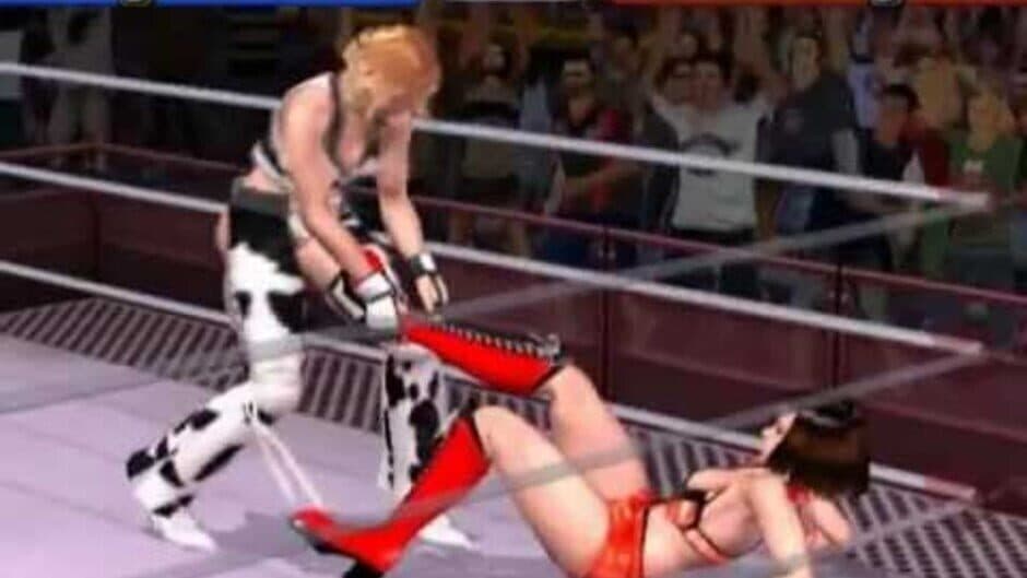 Rumble Roses screenshot