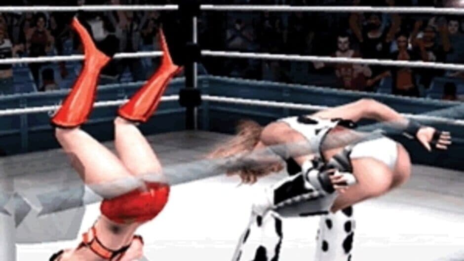 Rumble Roses screenshot