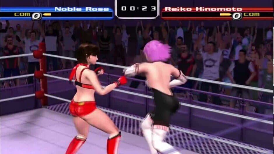 Rumble Roses screenshot