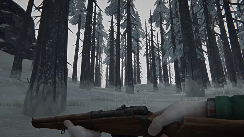 The Long Dark screenshot