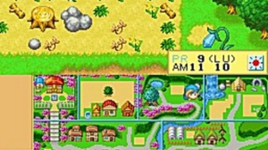 Harvest Moon DS screenshot