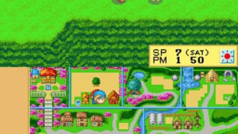 Harvest Moon DS screenshot