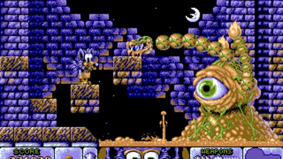 Fire & Ice: The Daring Adventures of Cool Coyote screenshot