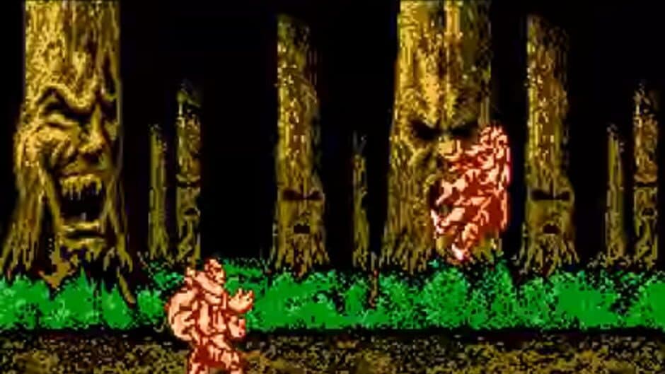 Mortal Kombat II Special screenshot