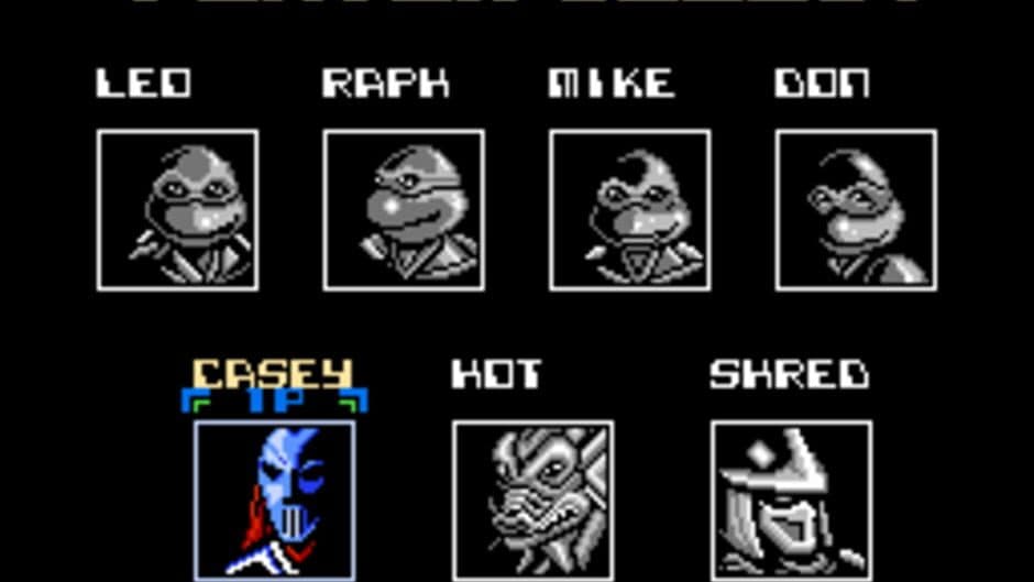 Teenage Mutant Ninja Turtles: Tournament Fighters screenshot