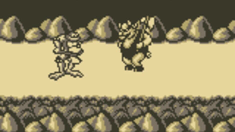 Battletoads screenshot