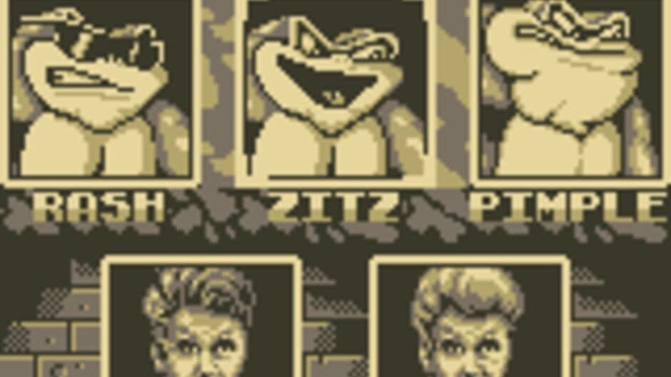 Battletoads / Double Dragon screenshot