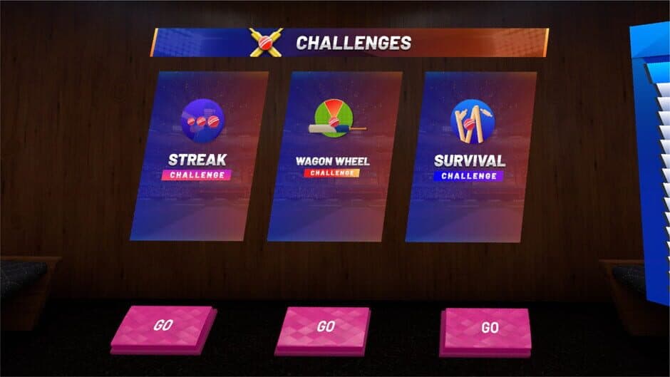 iB Cricket screenshot