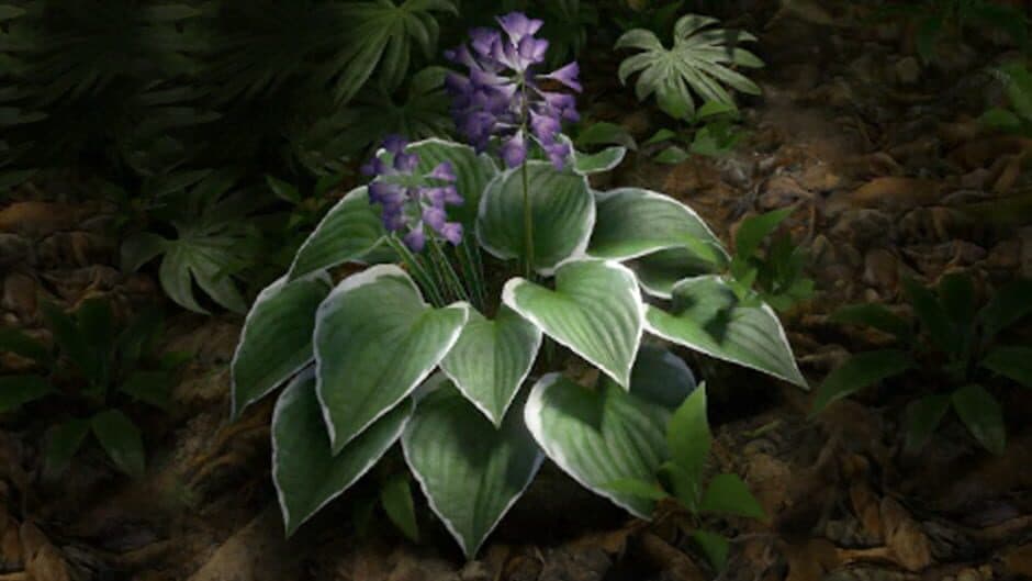 Green Hell VR screenshot