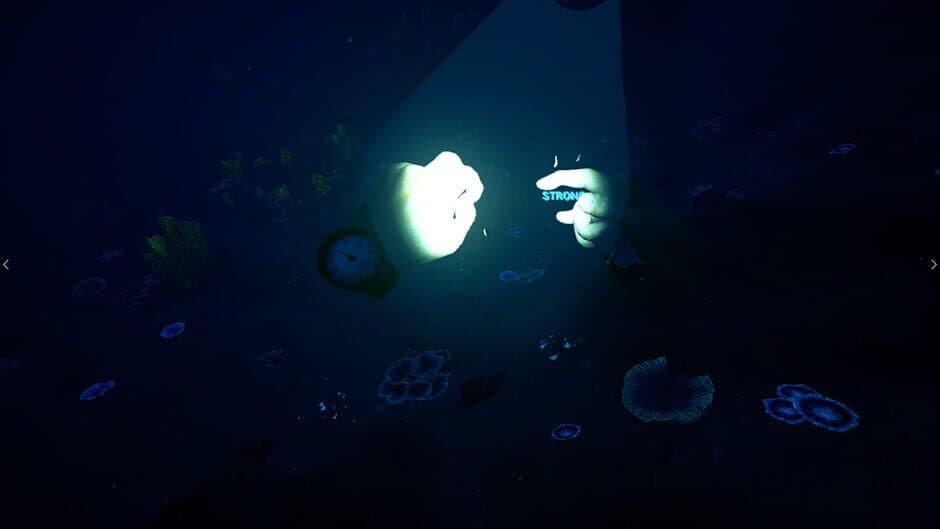 Bodies of Water VR screenshot