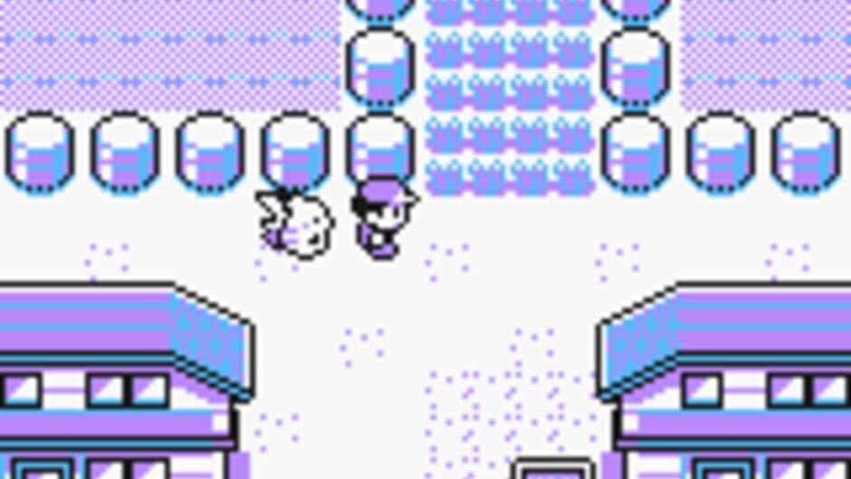 Pokémon Yellow Version: Special Pikachu Edition screenshot