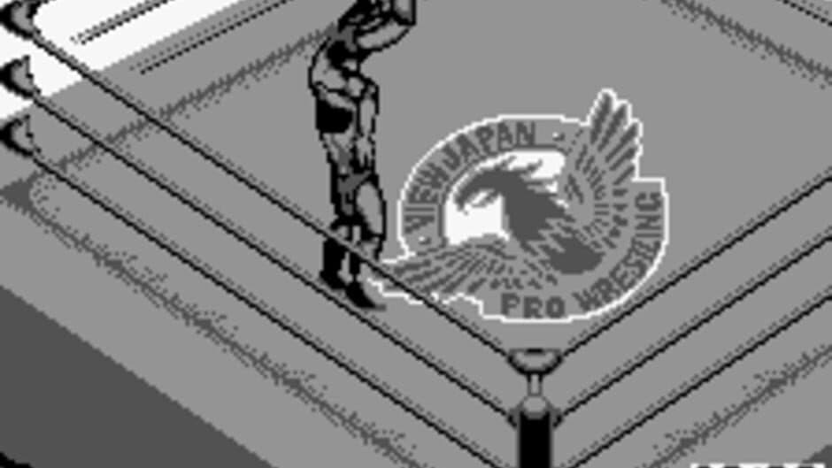 Fire Pro Wrestling for WonderSwan screenshot