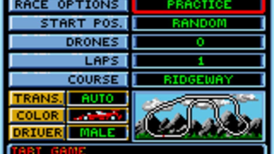 Checkered Flag screenshot