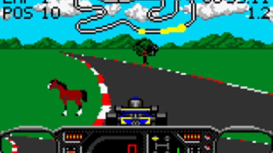 Checkered Flag screenshot