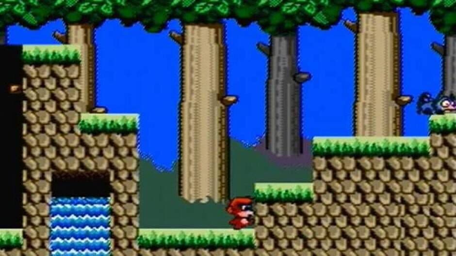 Curly Monkey screenshot