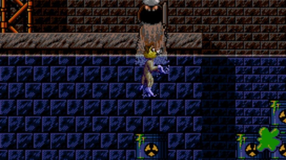 Sleepwalker & Pinball Fantasies screenshot